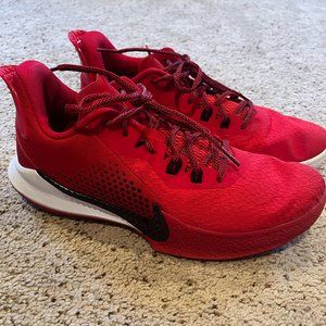 Nike Mamba Fury TB Basketball Shoes